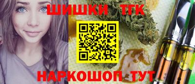тгк Новозыбков