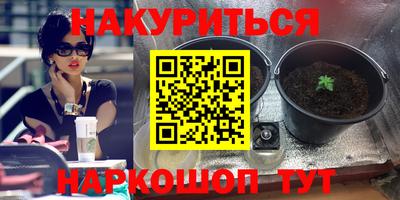 каннабис Новокубанск