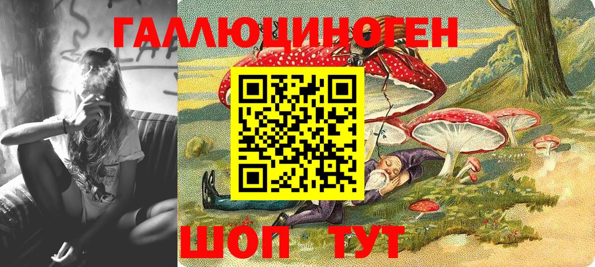 Соль-Илецк  Псилоцибиновые грибы Psilocybine cubensis  Вход с VPN  Псилоцибиновые грибы Psilocybine cubensis 