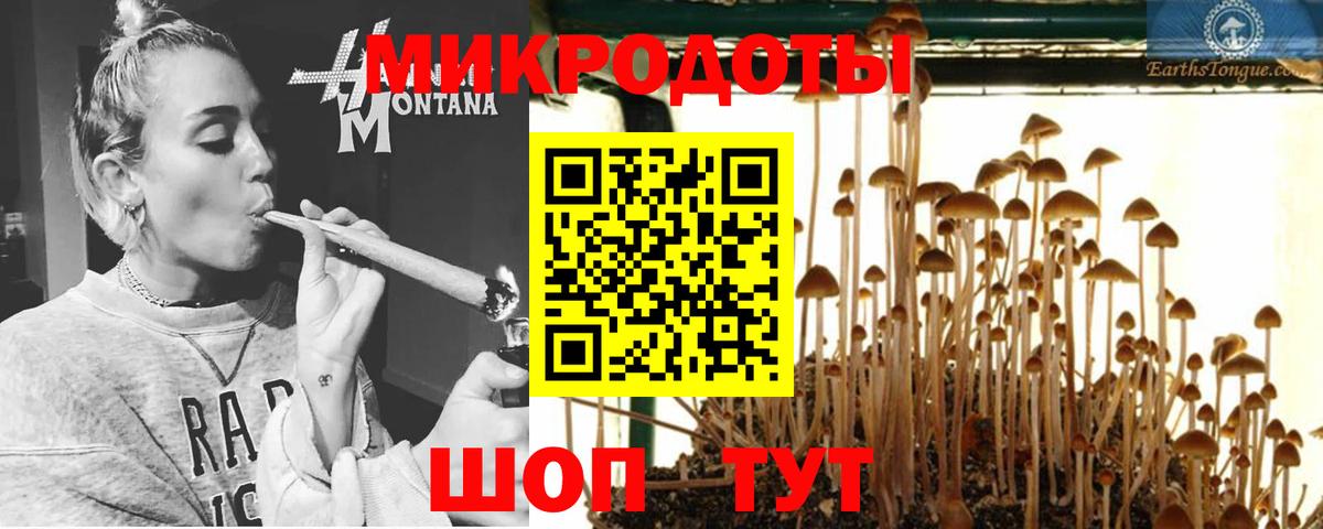 Псилоцибиновые грибы мицелий Соль-Илецк