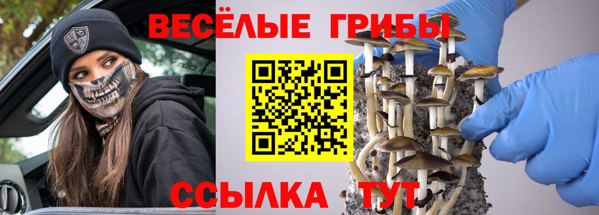 Купить наркотики цена  Соль-Илецк  Вход с VPN  Меф МЯУ МЯУ   Гашиш  COCAIN  Экстази 
